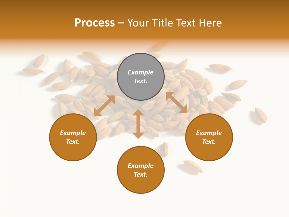 Rice Plant Harvest PowerPoint Template