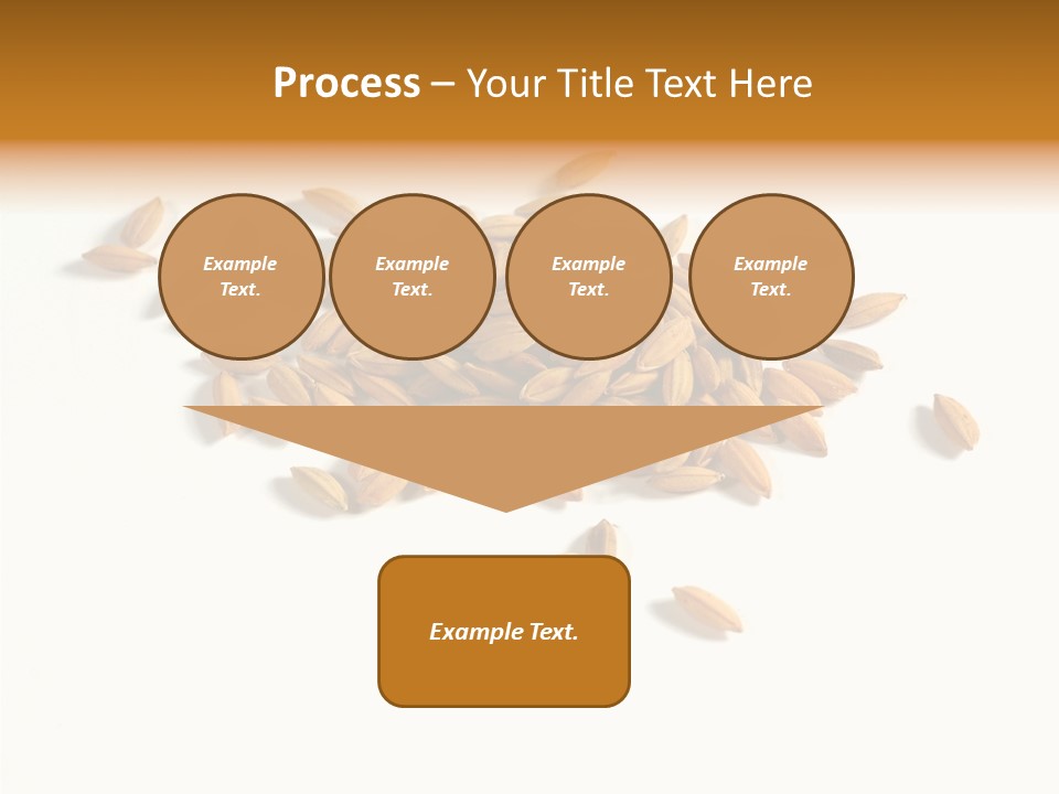 Rice Plant Harvest PowerPoint Template