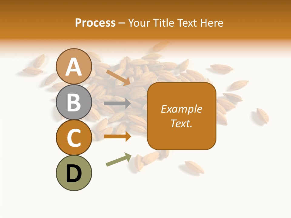 Rice Plant Harvest PowerPoint Template