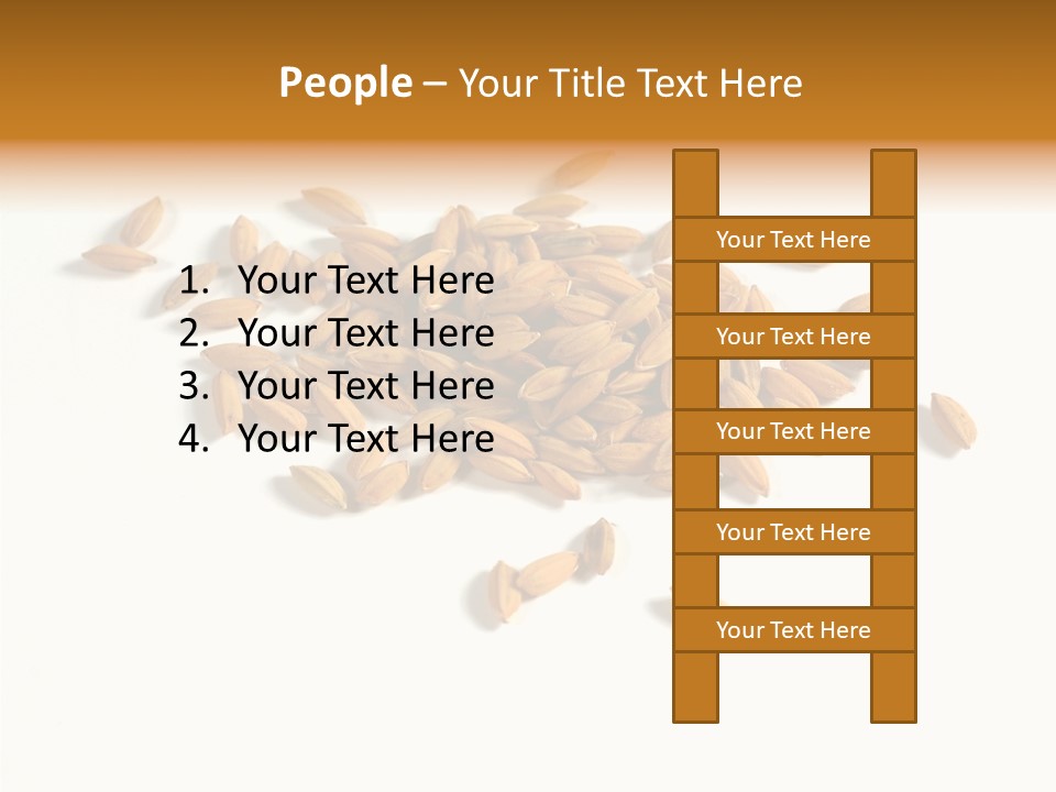 Rice Plant Harvest PowerPoint Template