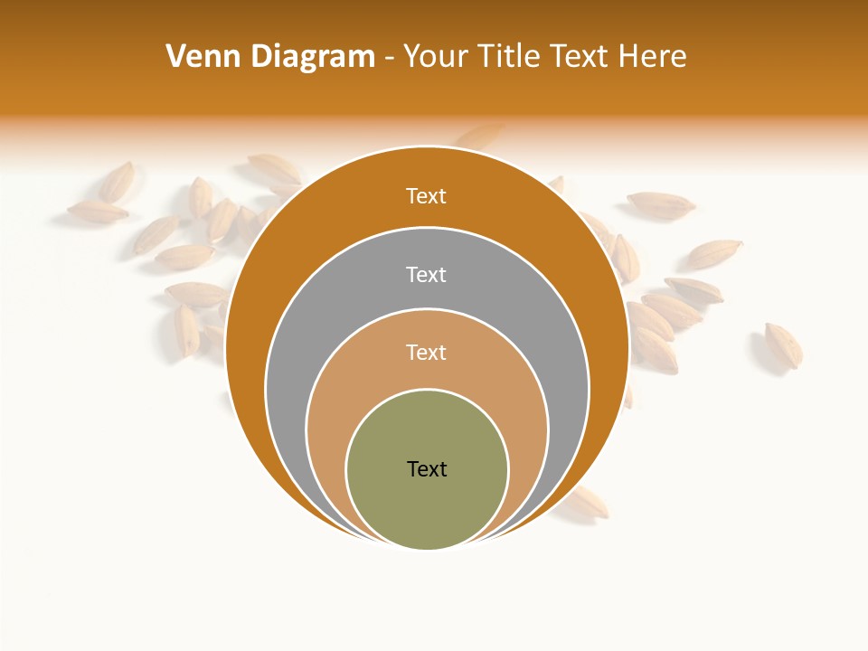 Rice Plant Harvest PowerPoint Template