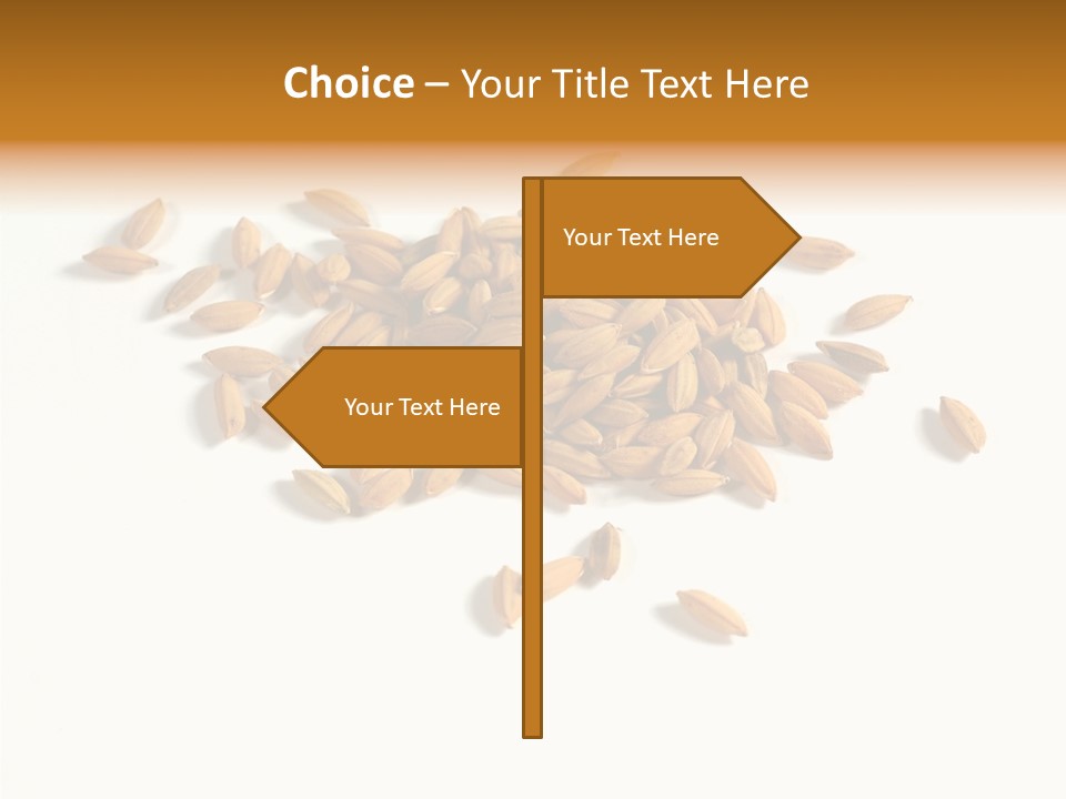 Rice Plant Harvest PowerPoint Template