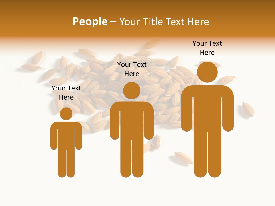 Rice Plant Harvest PowerPoint Template