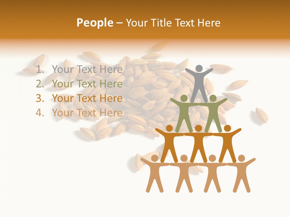 Rice Plant Harvest PowerPoint Template