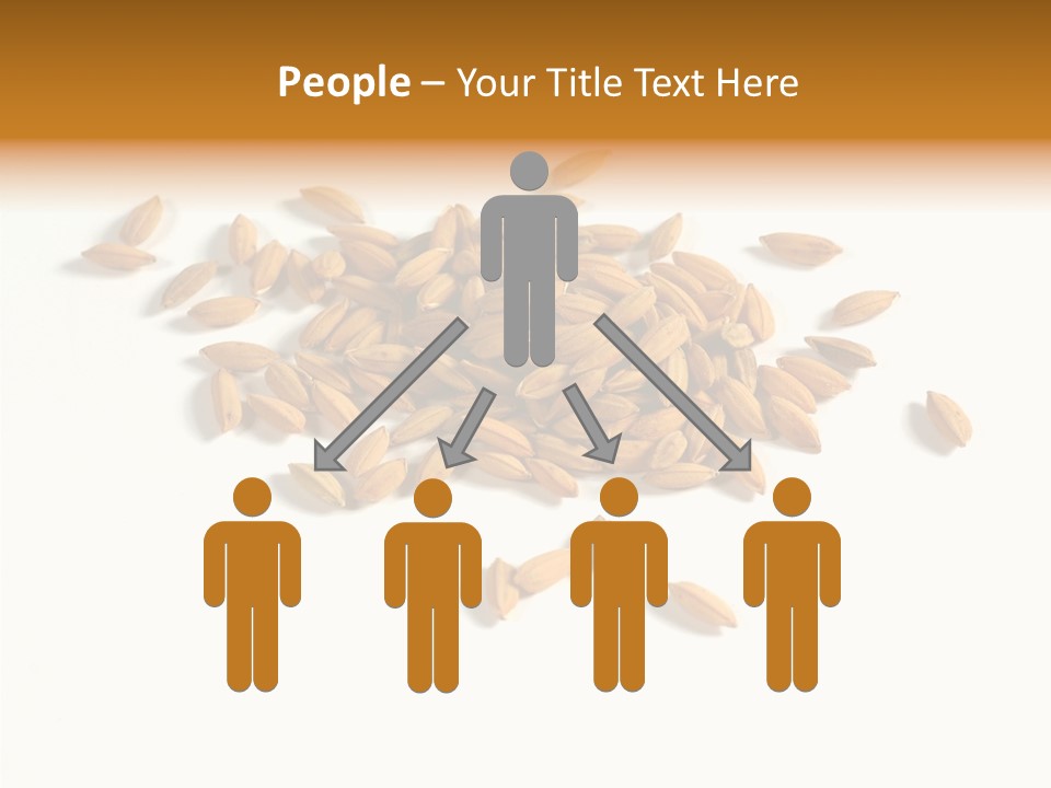 Rice Plant Harvest PowerPoint Template