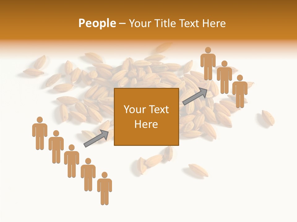 Rice Plant Harvest PowerPoint Template