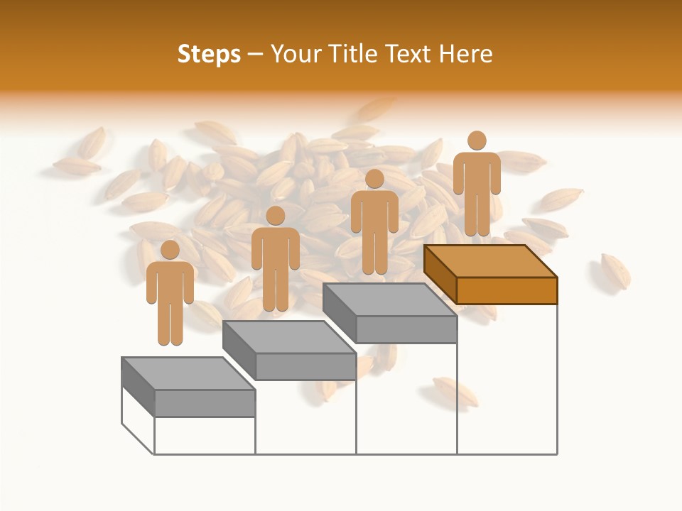 Rice Plant Harvest PowerPoint Template