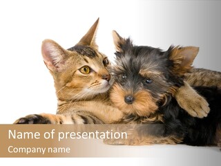 Beauty Puppy Stem PowerPoint Template