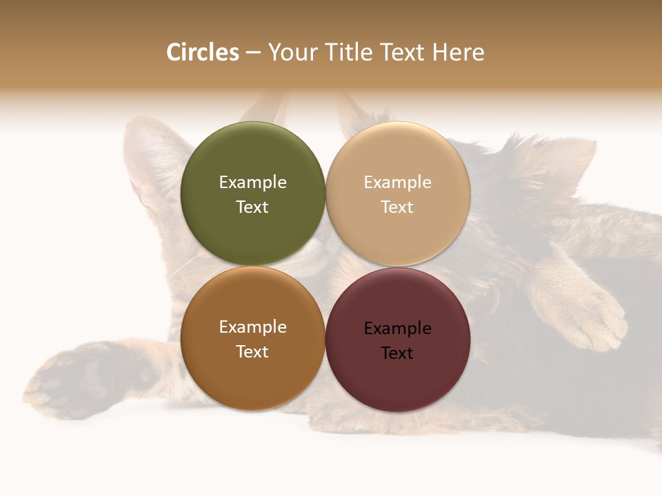 Beauty Puppy Stem PowerPoint Template