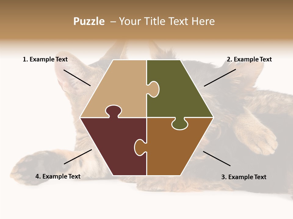 Beauty Puppy Stem PowerPoint Template