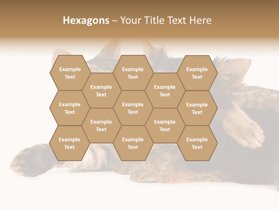 Beauty Puppy Stem PowerPoint Template