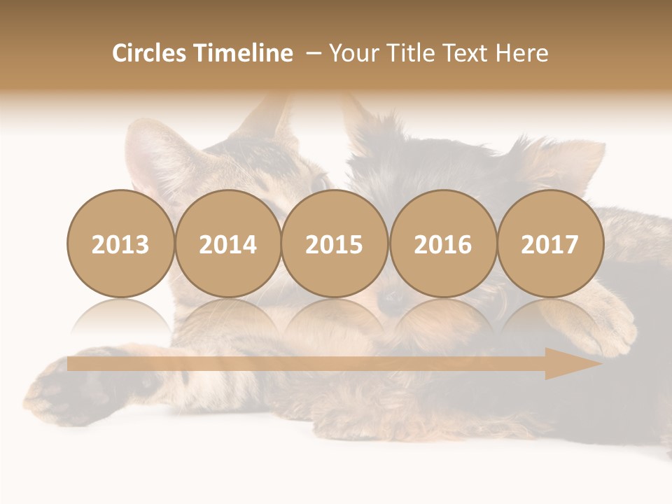 Beauty Puppy Stem PowerPoint Template