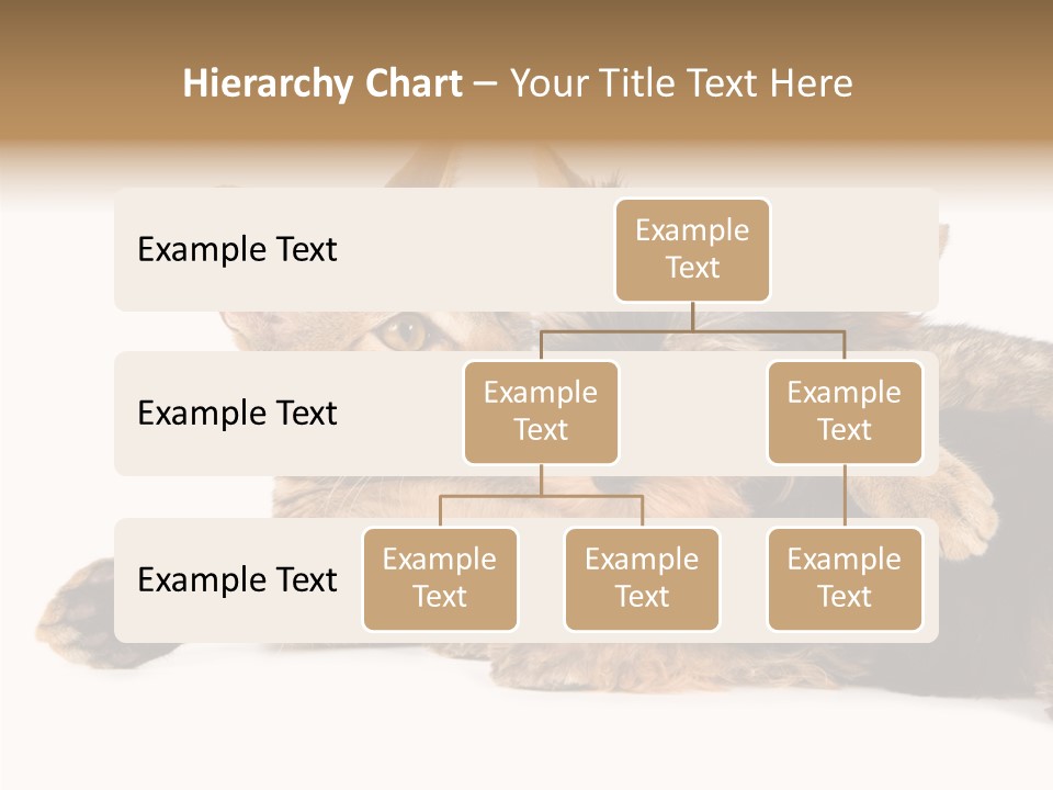Beauty Puppy Stem PowerPoint Template
