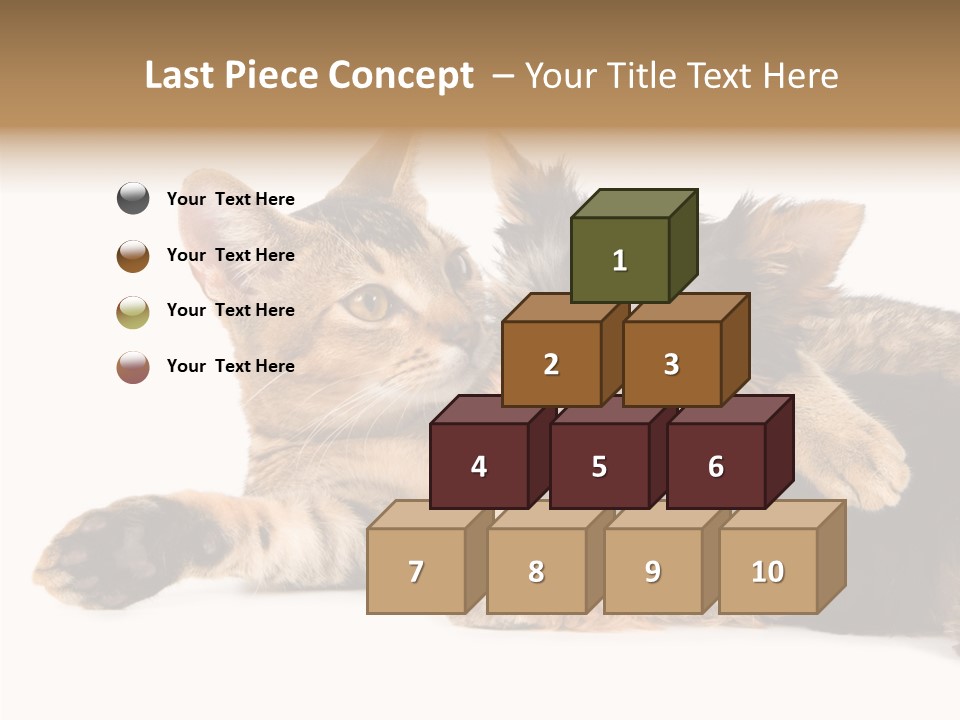 Beauty Puppy Stem PowerPoint Template