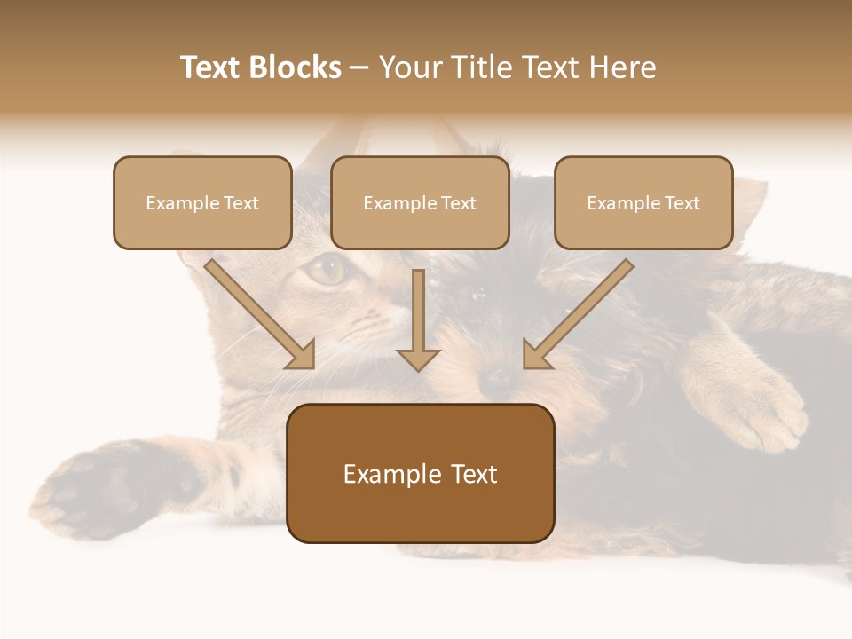 Beauty Puppy Stem PowerPoint Template