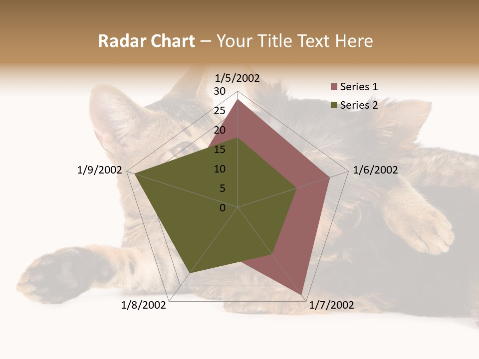 Beauty Puppy Stem PowerPoint Template