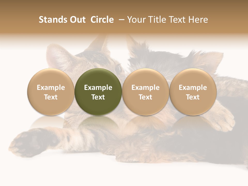 Beauty Puppy Stem PowerPoint Template