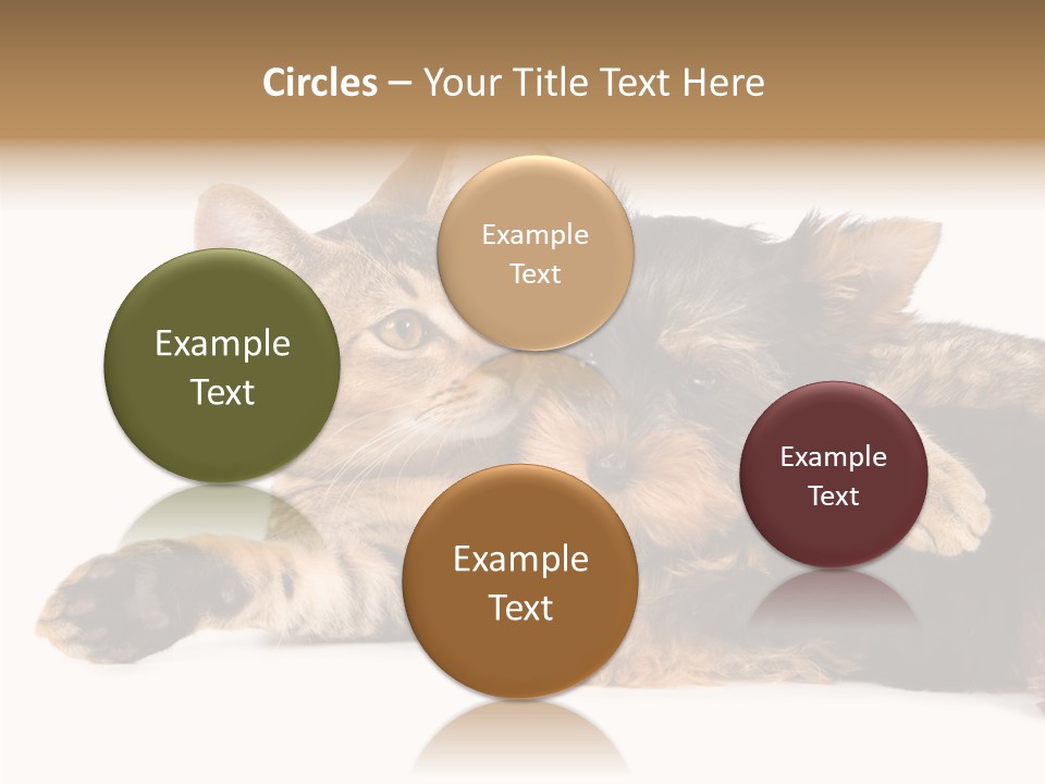 Beauty Puppy Stem PowerPoint Template