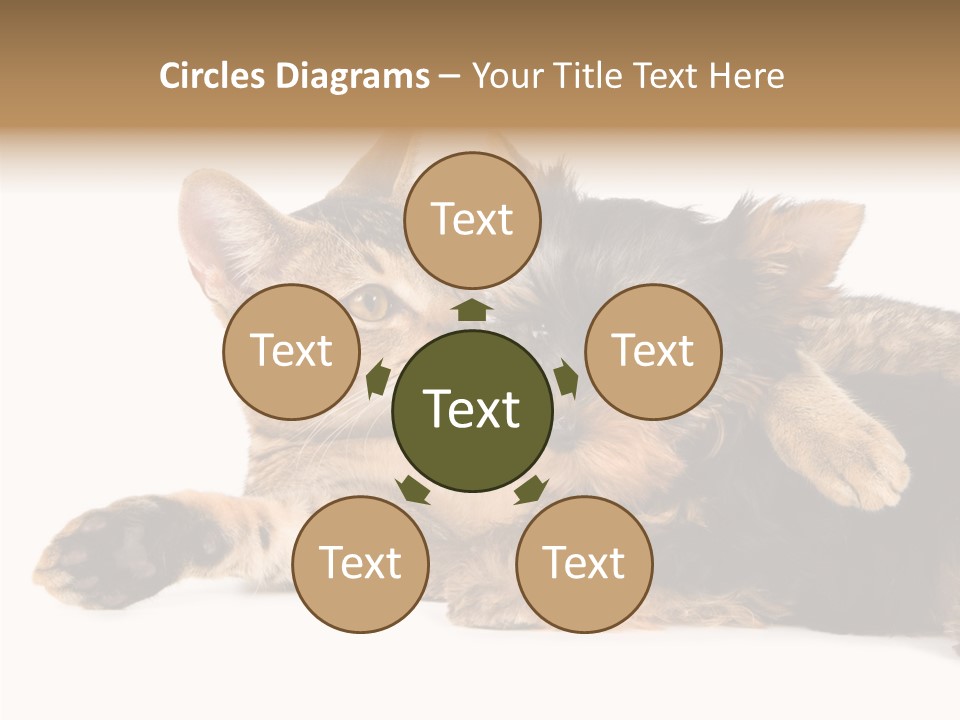 Beauty Puppy Stem PowerPoint Template