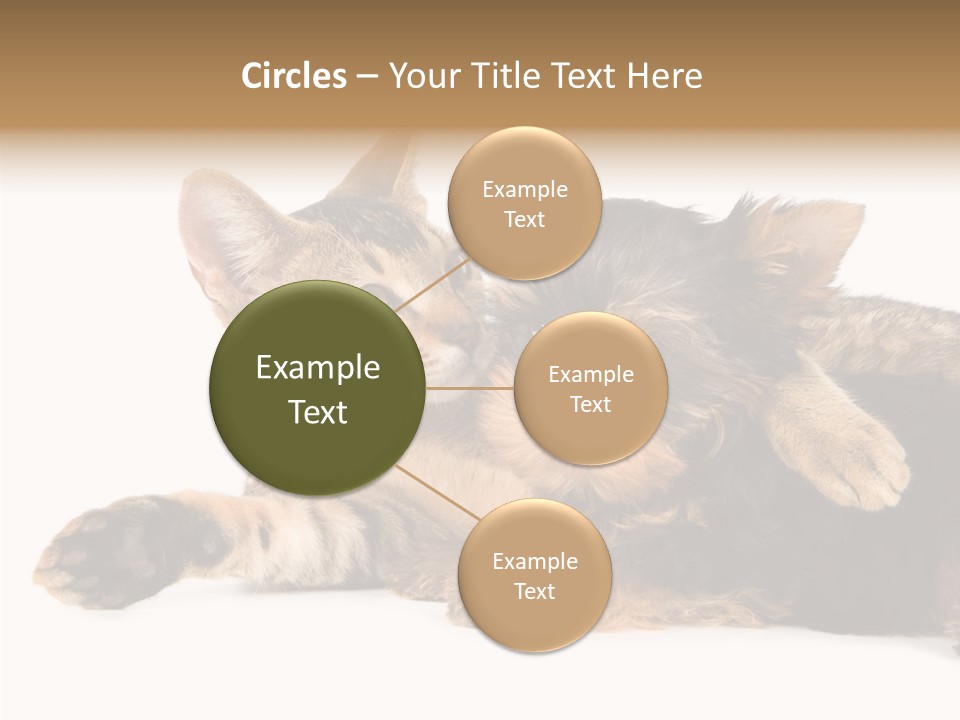 Beauty Puppy Stem PowerPoint Template