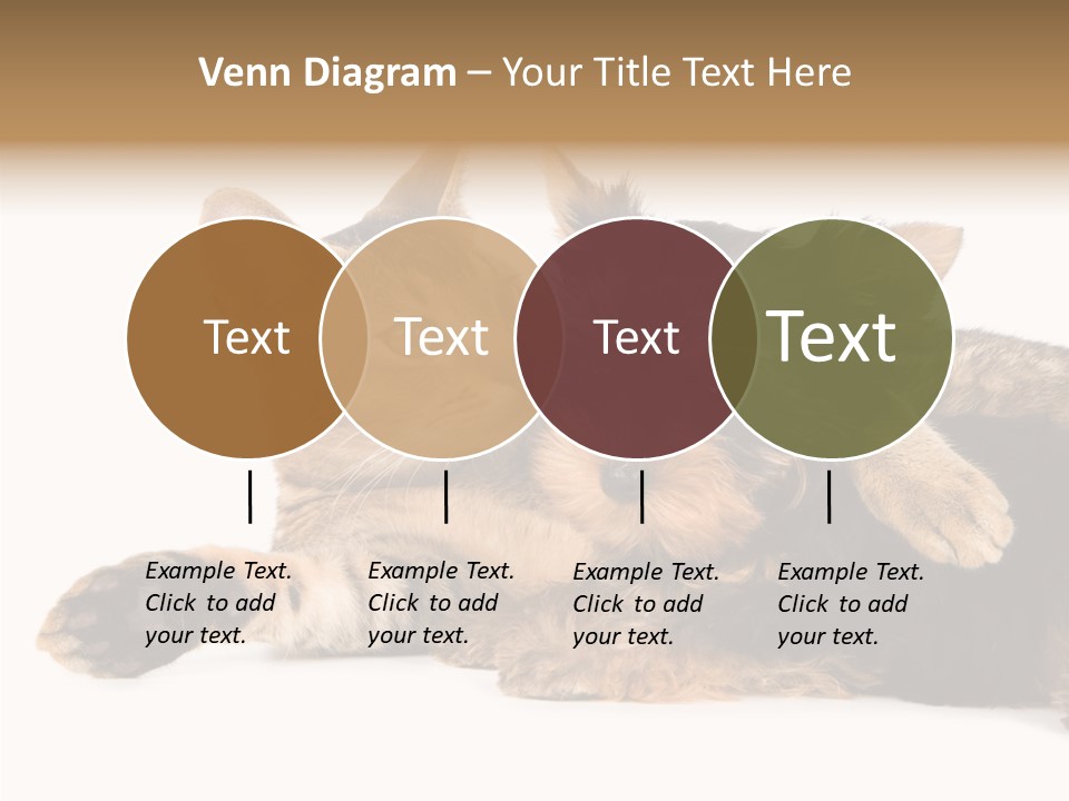 Beauty Puppy Stem PowerPoint Template