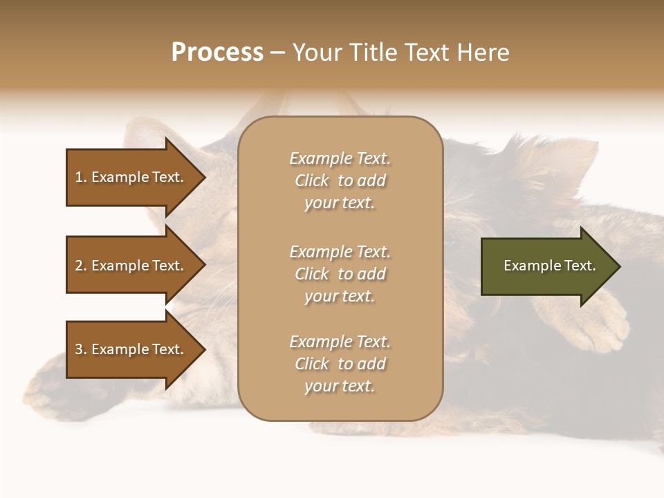 Beauty Puppy Stem PowerPoint Template