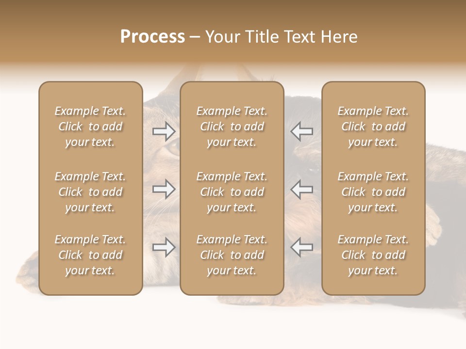 Beauty Puppy Stem PowerPoint Template