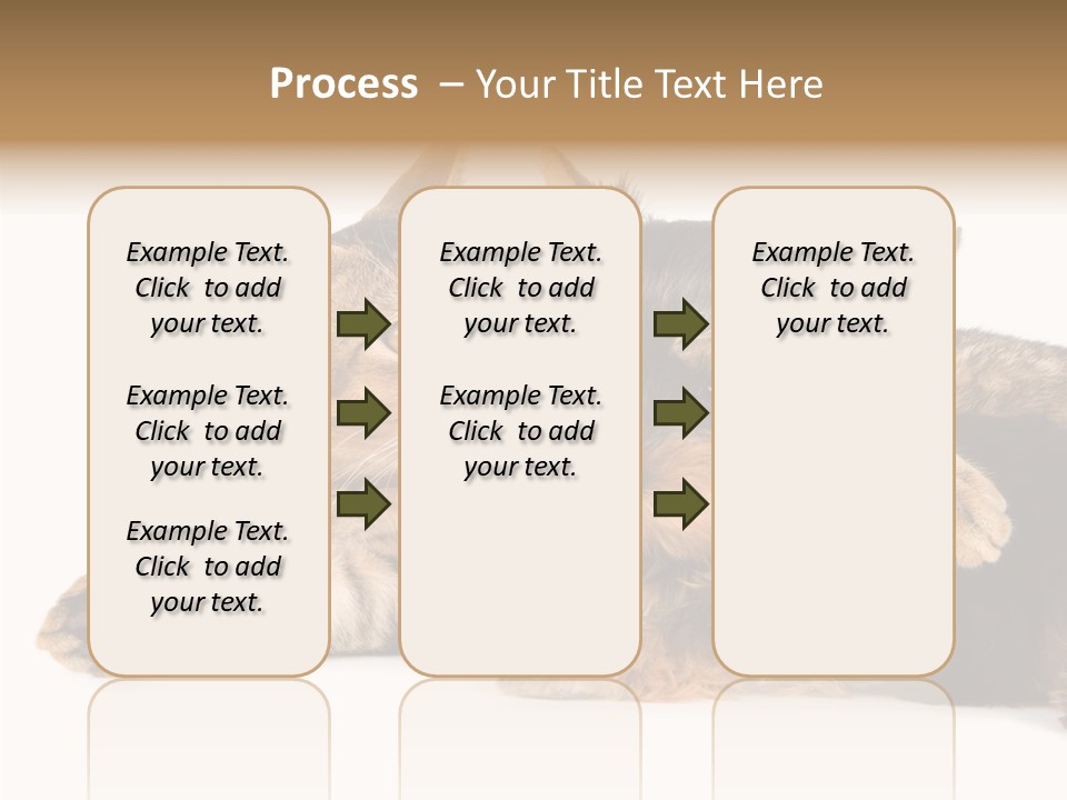 Beauty Puppy Stem PowerPoint Template