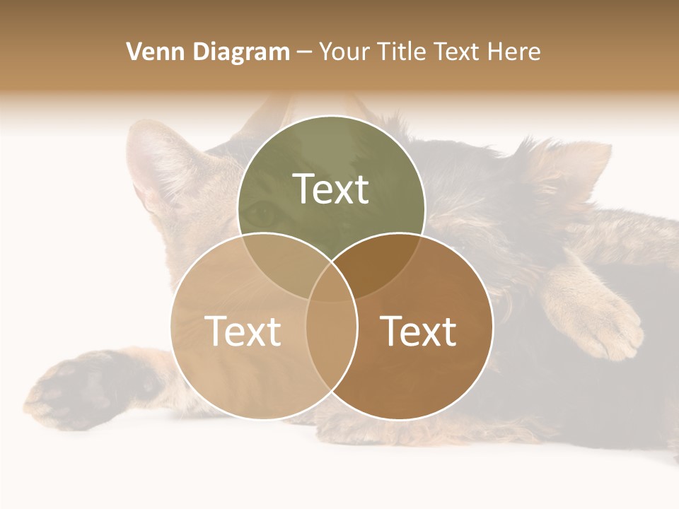 Beauty Puppy Stem PowerPoint Template