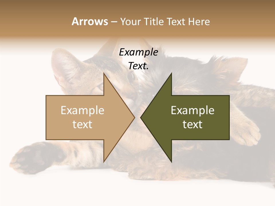 Beauty Puppy Stem PowerPoint Template