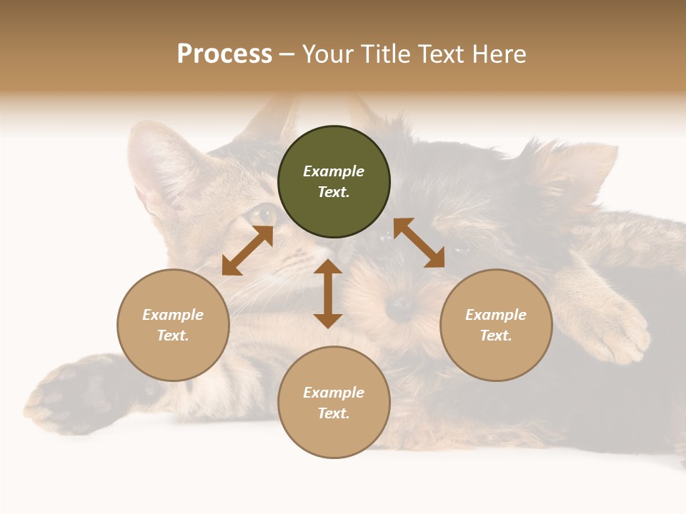 Beauty Puppy Stem PowerPoint Template