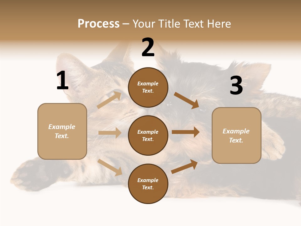 Beauty Puppy Stem PowerPoint Template