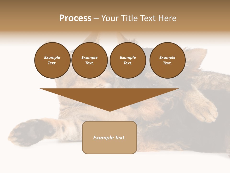 Beauty Puppy Stem PowerPoint Template