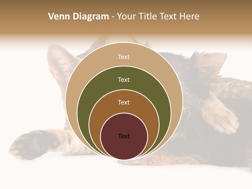 Beauty Puppy Stem PowerPoint Template