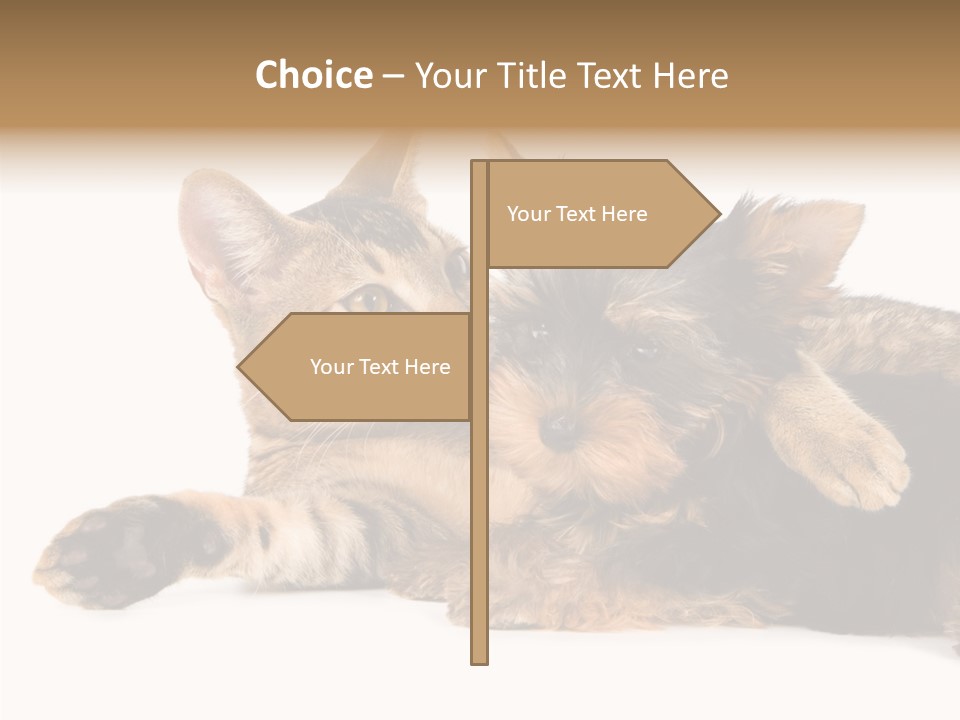 Beauty Puppy Stem PowerPoint Template