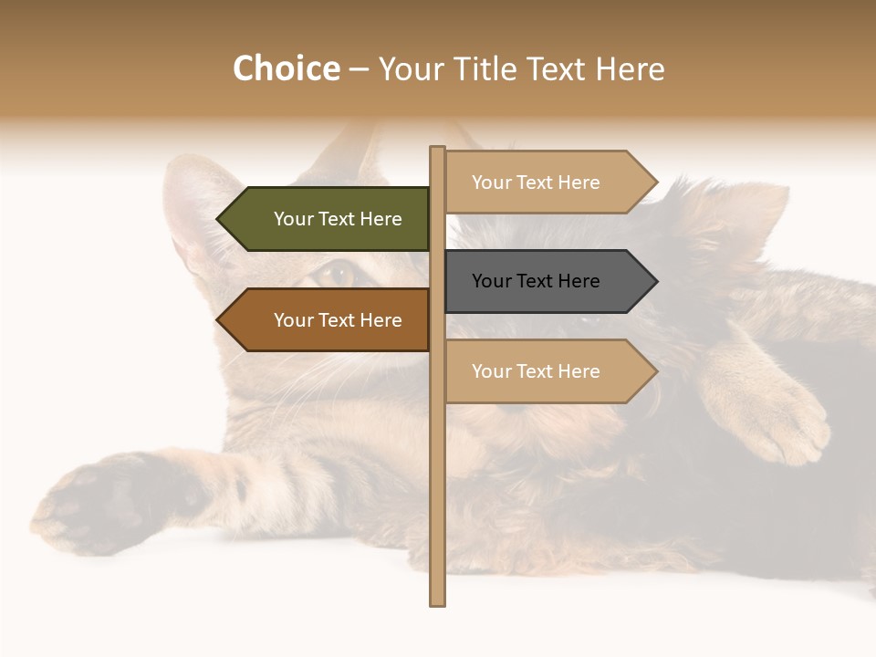 Beauty Puppy Stem PowerPoint Template