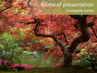 Japanese Meditation Buddhism PowerPoint Template