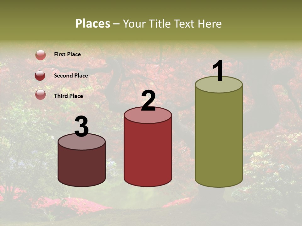 Japanese Meditation Buddhism PowerPoint Template