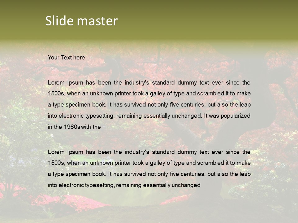 Japanese Meditation Buddhism PowerPoint Template