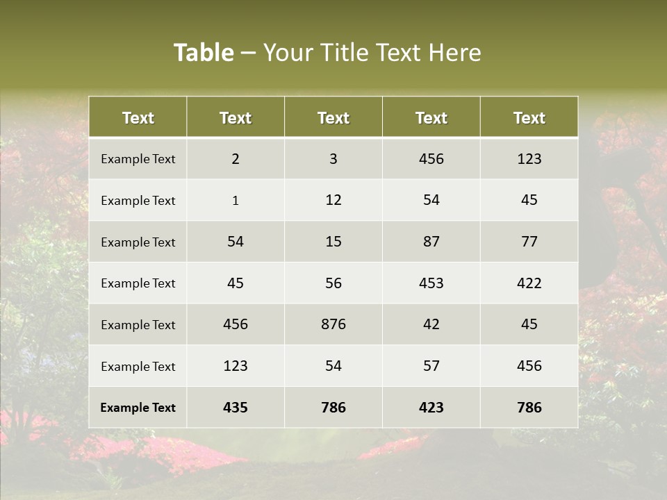 Japanese Meditation Buddhism PowerPoint Template