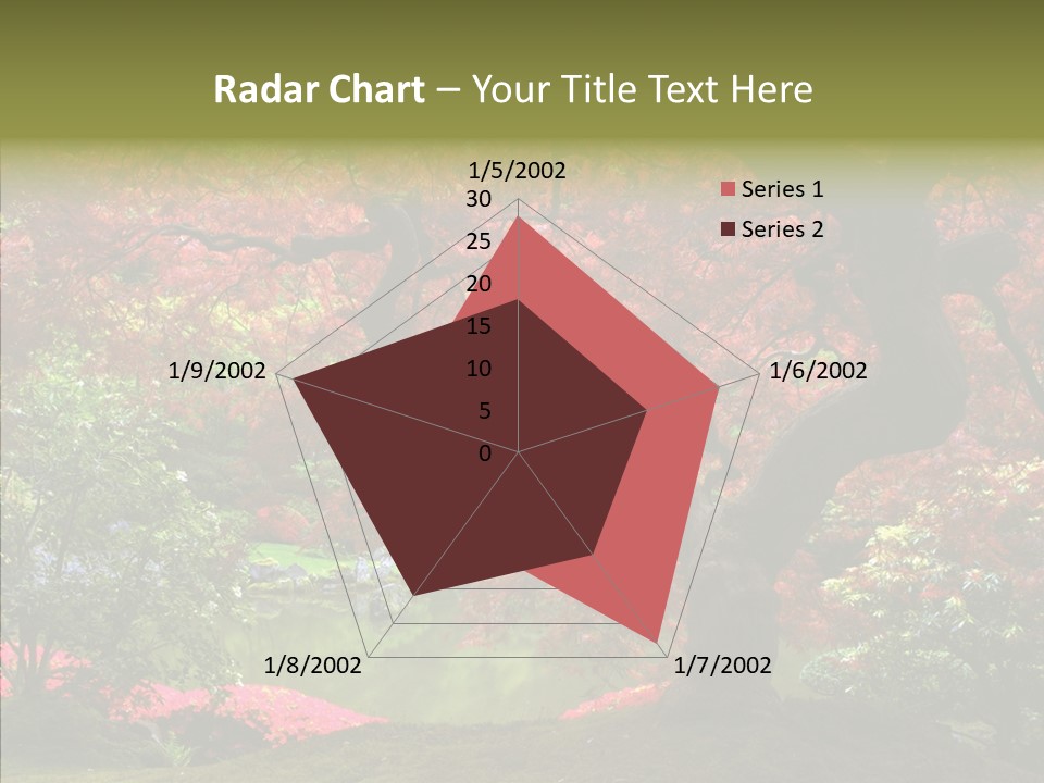 Japanese Meditation Buddhism PowerPoint Template
