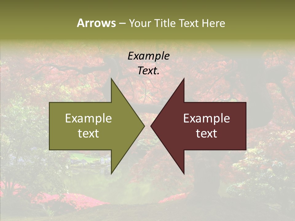 Japanese Meditation Buddhism PowerPoint Template