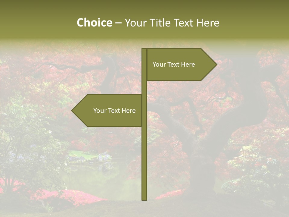 Japanese Meditation Buddhism PowerPoint Template