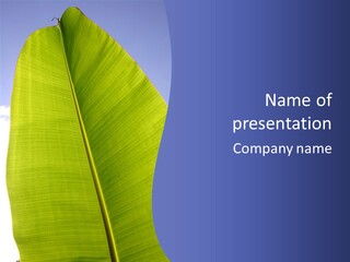 Verdant Foliage Banana PowerPoint Template