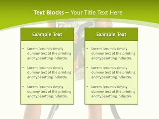 White Clean Domestic PowerPoint Template