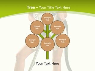 White Clean Domestic PowerPoint Template