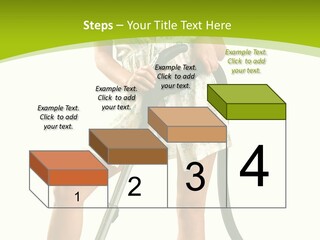 White Clean Domestic PowerPoint Template