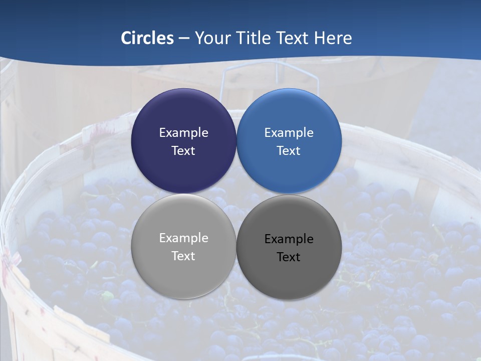 Exhibit Announcement Commercial PowerPoint Template