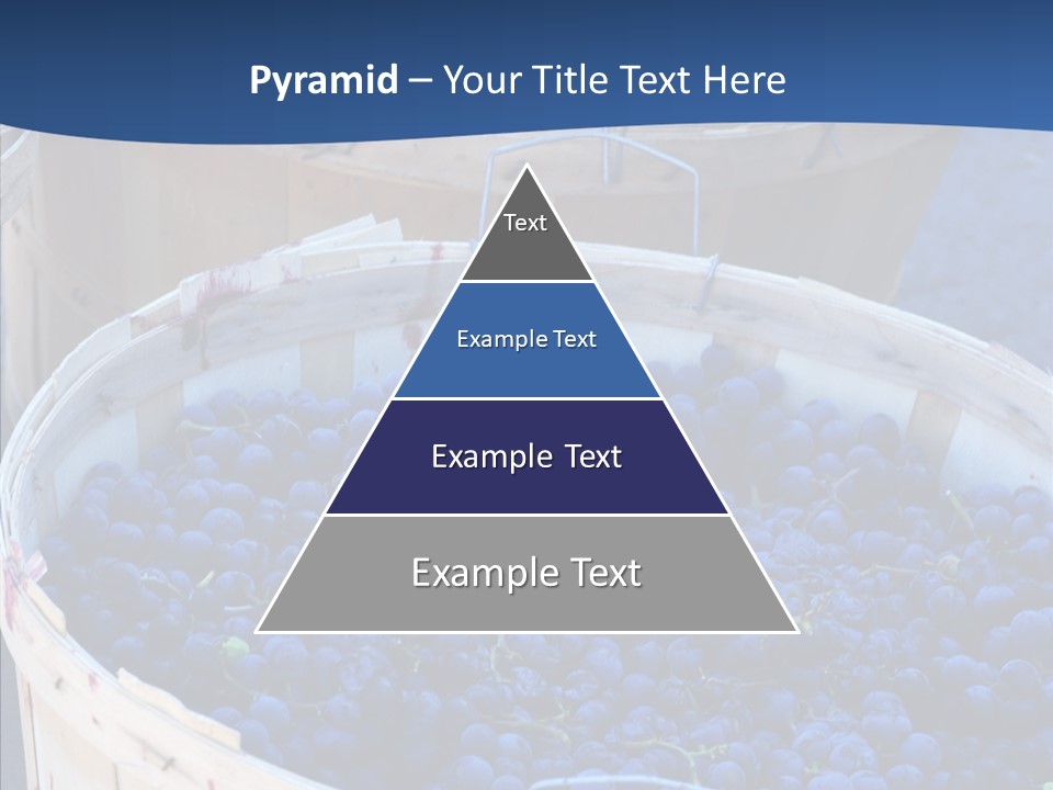 Exhibit Announcement Commercial PowerPoint Template