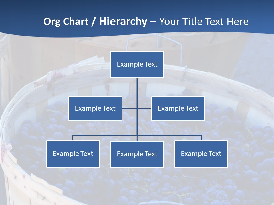 Exhibit Announcement Commercial PowerPoint Template